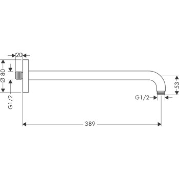 Dušas galvas turētājs Hansgrohe 389 mm, no sienas, hroms